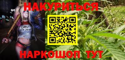 МДПВ Добрянка