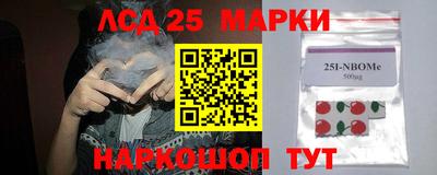 прущие грибы Долгопрудный
