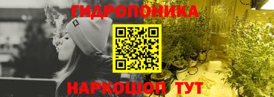 прущие грибы Долгопрудный