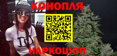 прущие грибы Долгопрудный