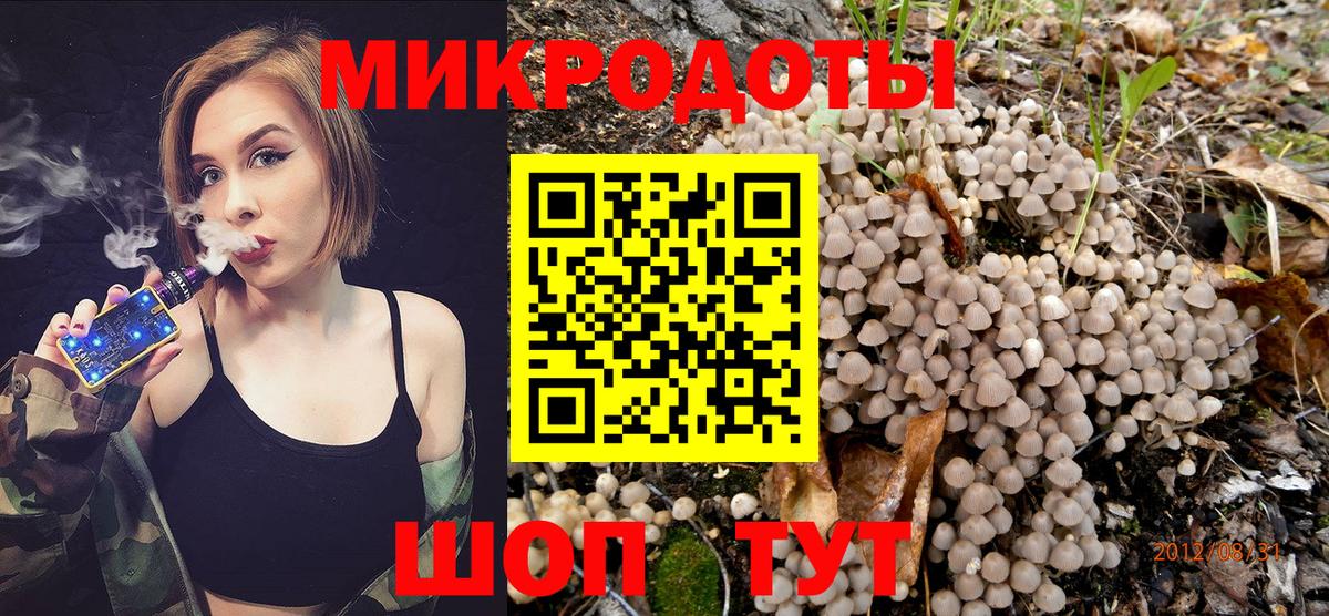 Галлюциногенные грибы мицелий Осинники